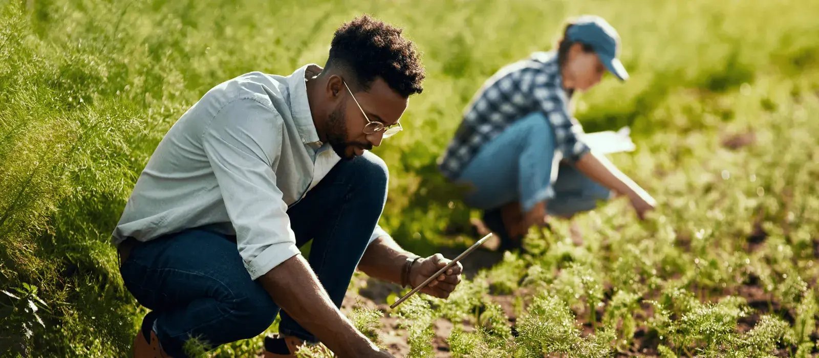smart fertilization planning case study
